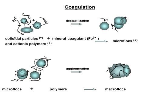 Flocculation