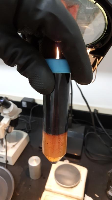 STO Sample after Centrifuging