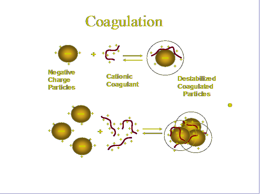 Coagulation