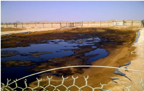 Soil contaminated with oil